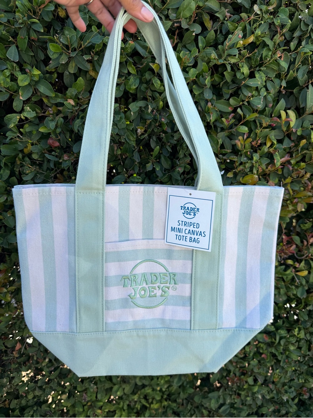 Striped Mini Canvas Tote Bag - Light Green & White
